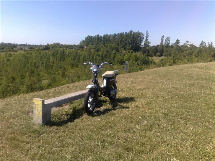 Suzuki FZ50 **solgt** billede 2