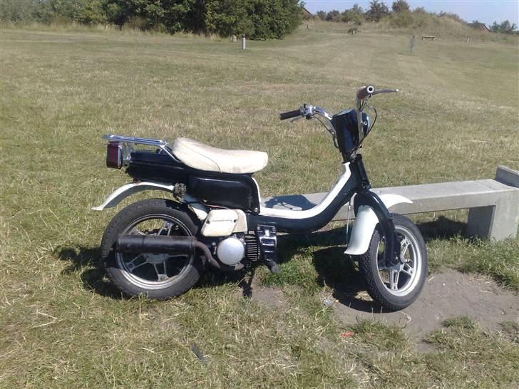 Suzuki FZ50 **solgt** billede 4