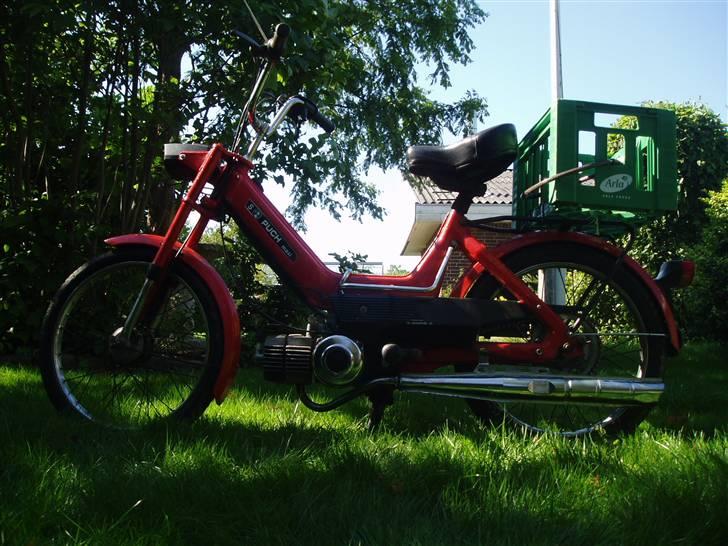 Puch maxi  s billede 4