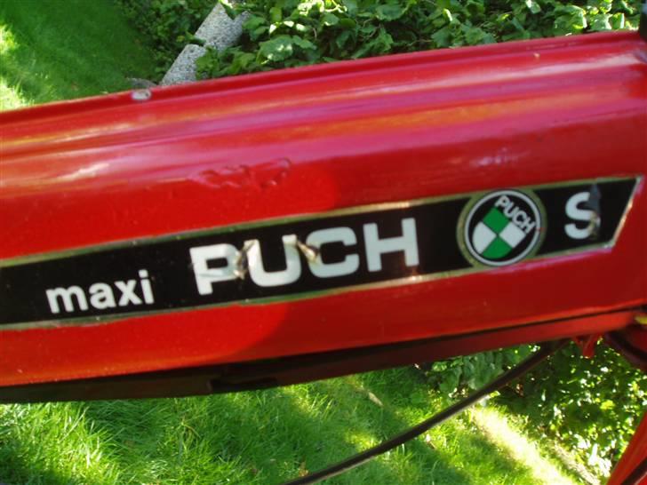 Puch maxi  s billede 6