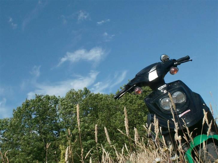 PGO hot 50 SOLGT ;(  billede 1