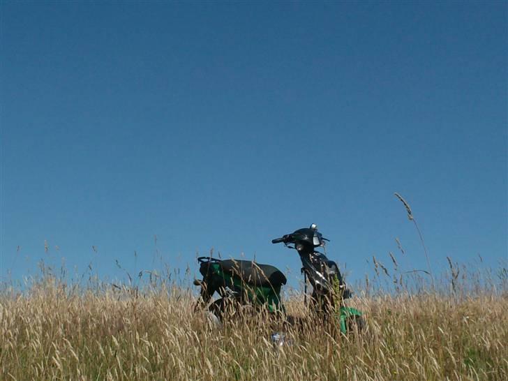 PGO hot 50 SOLGT ;(  billede 2