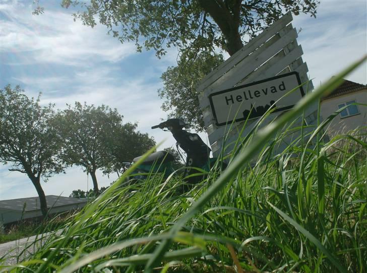 PGO hot 50 SOLGT ;(  billede 10