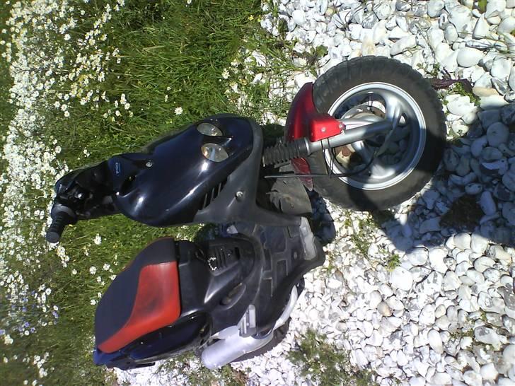 PGO pmx Sport byttet til rmx billede 3