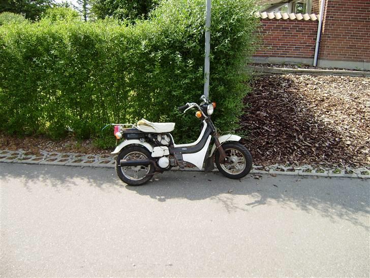 Suzuki fz 50 Solgt billede 1