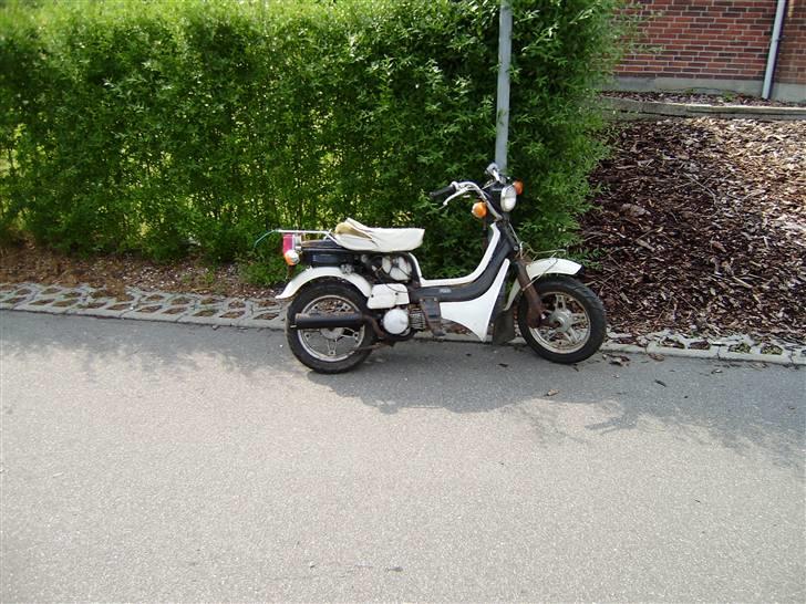 Suzuki fz 50 Solgt billede 2