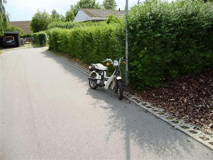 Suzuki fz 50 Solgt billede 3
