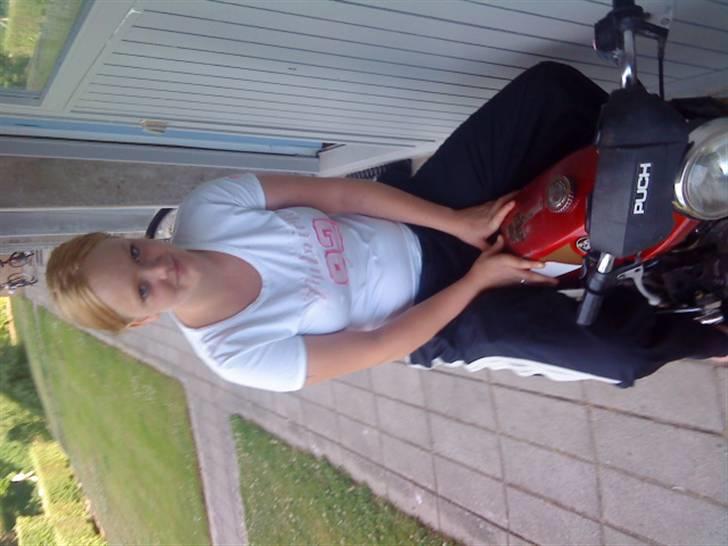 Puch monza byttet billede 7