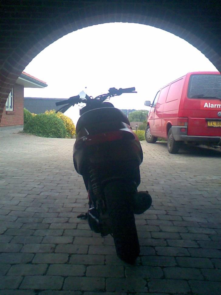 Piaggio Typhoon ( solgt ) billede 8