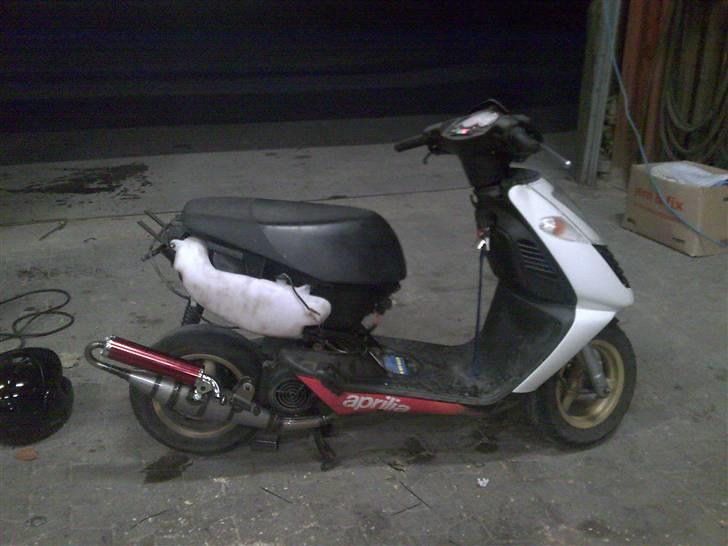 Aprilia $onic Evolution billede 7