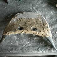 Aprilia Rally AC ((projekt))