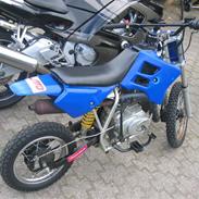 MiniBike 110
