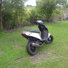 PGO Hot 50 /-Evo-\ TILSALG