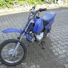 MiniBike Blueberry (TILSALG)