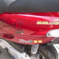 Gilera Stalker #36