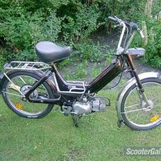 Puch Maxi  ( SOLGT )