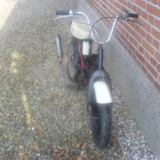 Suzuki FZ 50