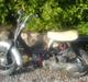 Suzuki FZ 50