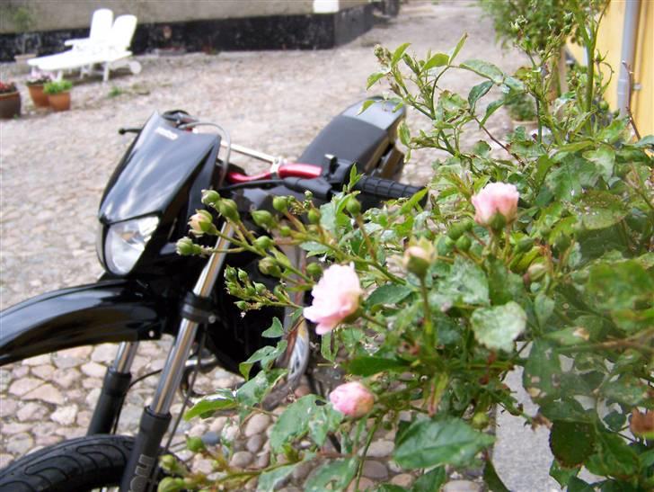 Derbi Senda SM Xtream solgt billede 6