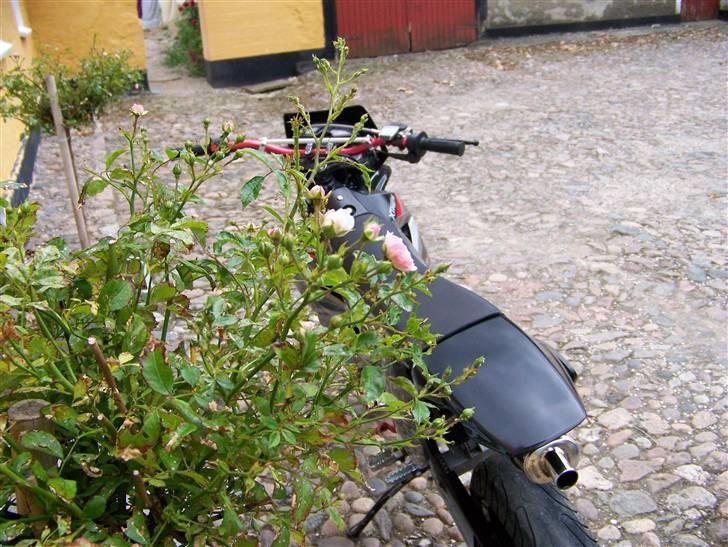 Derbi Senda SM Xtream solgt billede 14