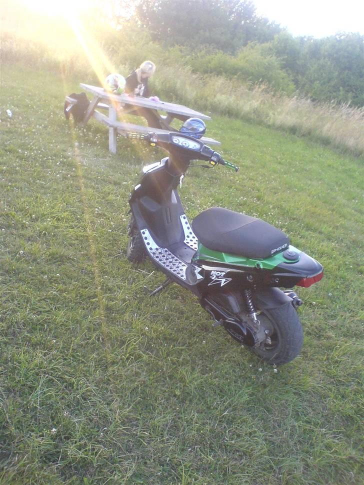 PGO Hot 50 (SOLGT) billede 7