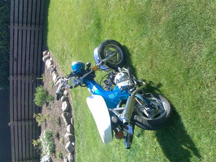 Jincheng Dax nye billeder (Byttet) billede 6