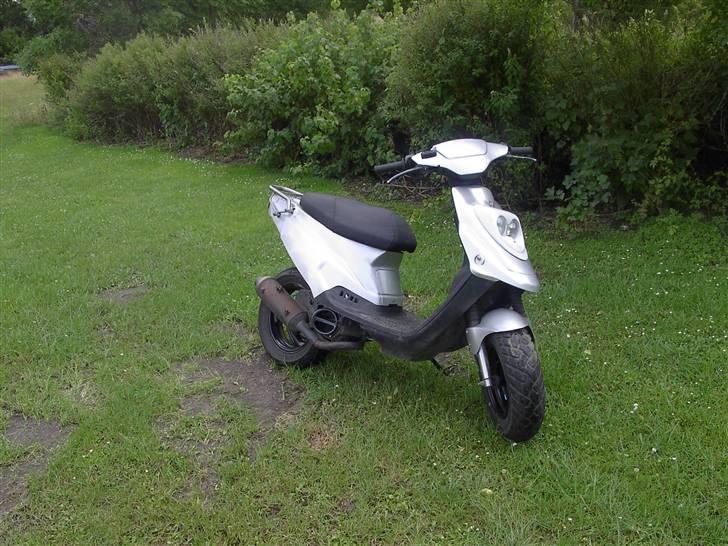 PGO Hot 50 /-Evo-\ TILSALG billede 1