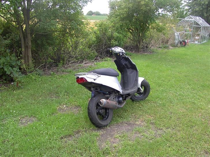 PGO Hot 50 /-Evo-\ TILSALG billede 2