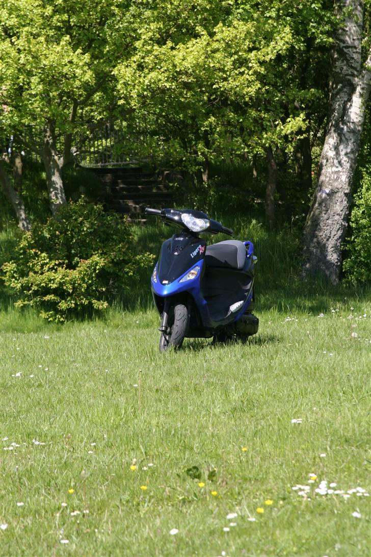 PGO Ligero  billede 5