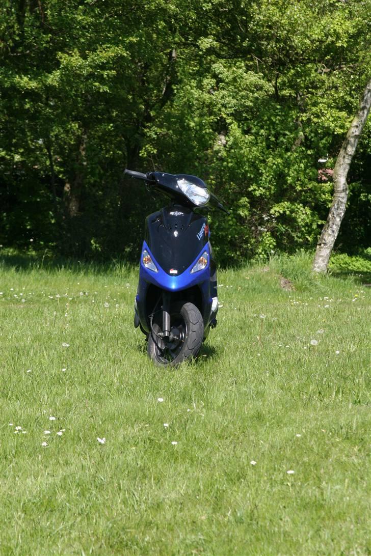 PGO Ligero  billede 6