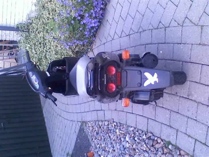 Honda sfx - Bagenden igen.. billede 7