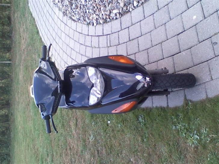 Honda sfx - forenden af sfx´en billede 10