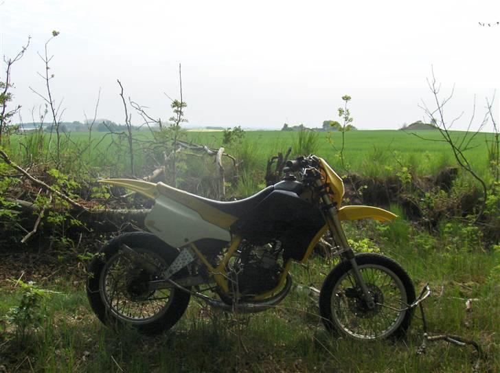 Suzuki SMX - solgt billede 5