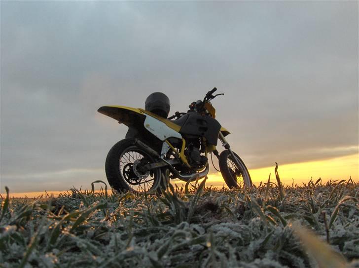 Suzuki SMX - solgt billede 8