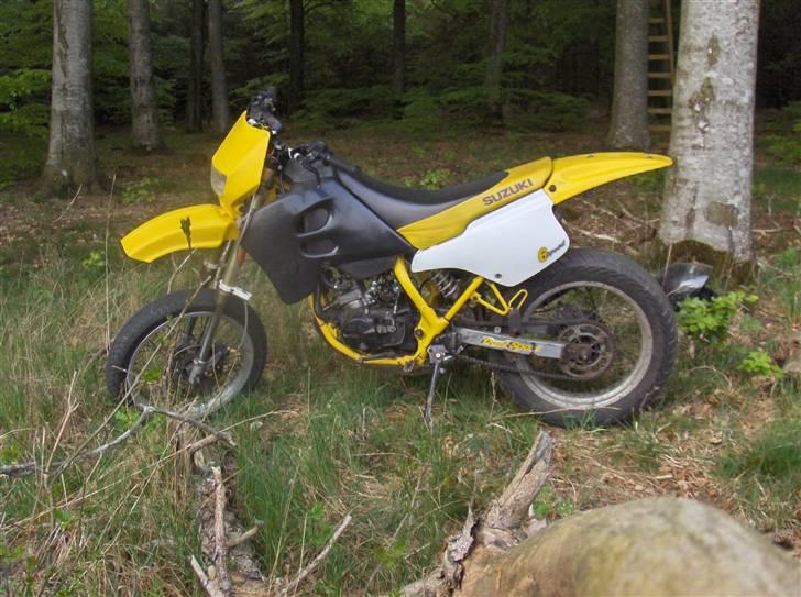 Suzuki SMX - solgt billede 10