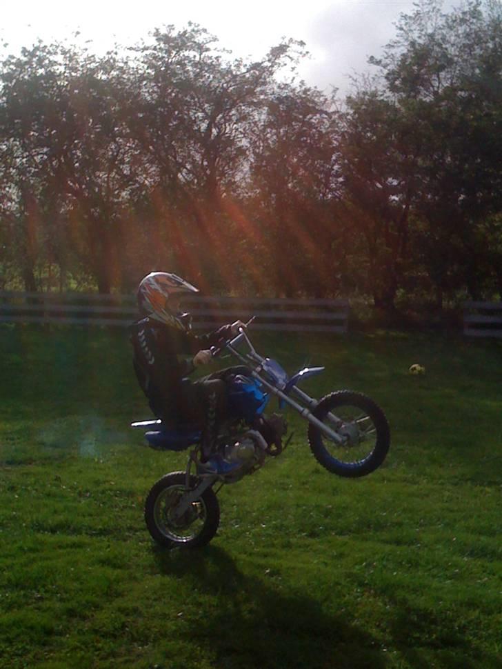 MiniBike 125ccm. - nyt billed. billede 4