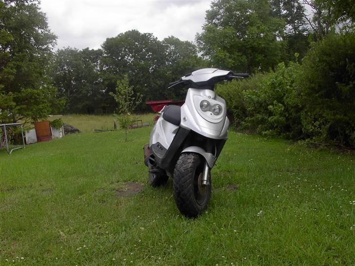 PGO Hot 50 /-Evo-\ TILSALG billede 8