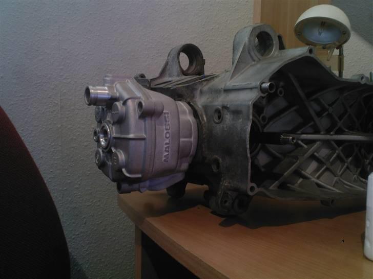 PGO Hot50 - Solgt, uden motor billede 4