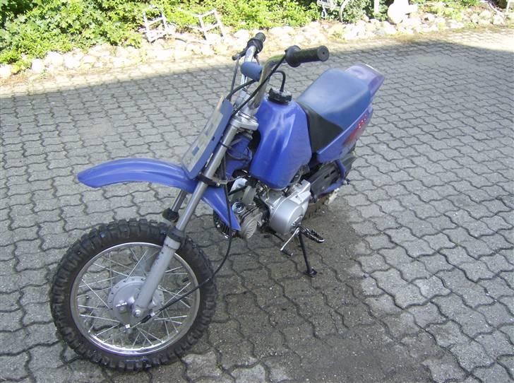 MiniBike Blueberry (TILSALG) billede 1