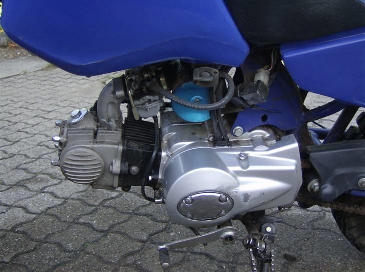 MiniBike Blueberry (TILSALG) billede 2