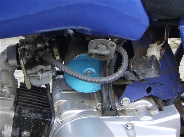 MiniBike Blueberry (TILSALG) billede 6