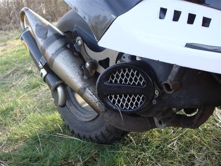 PGO Hot 50 "SP" - Grisetryne og metrakit udstødningen. billede 3