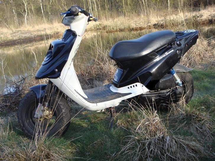 PGO Hot 50 "SP" billede 6