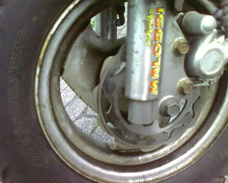 PGO hot 50 Hirtshals<3 død - så kom der ny stylepro bremseskive og nye bremseklodser fra malossi, sys nu det er fedt billede 11