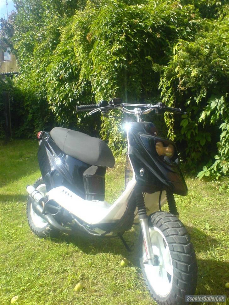 PGO hot 50 billede 1