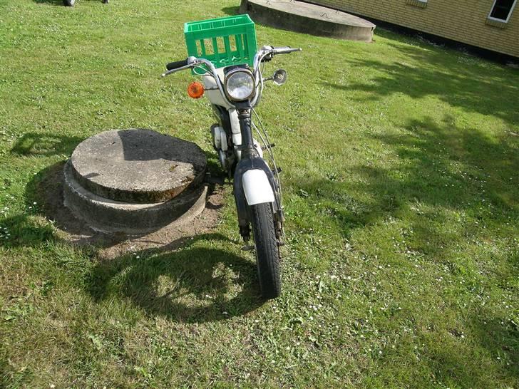 Suzuki Fz 50 Vinterknallert billede 3