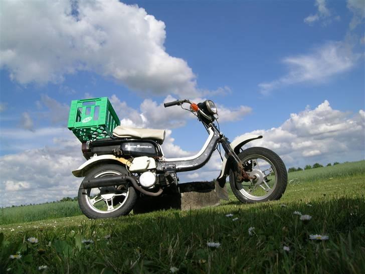 Suzuki Fz 50 Vinterknallert billede 7