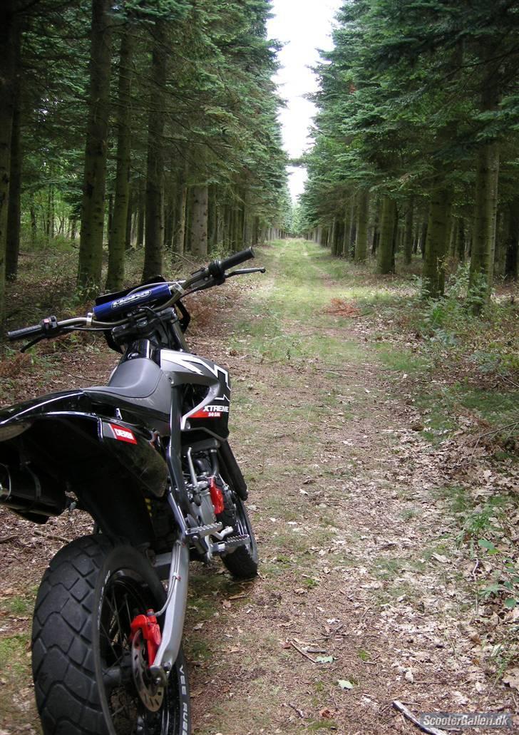 Derbi Senda SM extreme. SOLGT. billede 3