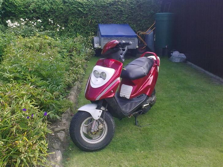 PGO hot 50 billede 1