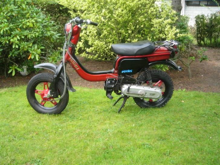 Suzuki FZ50 SOLGT billede 1